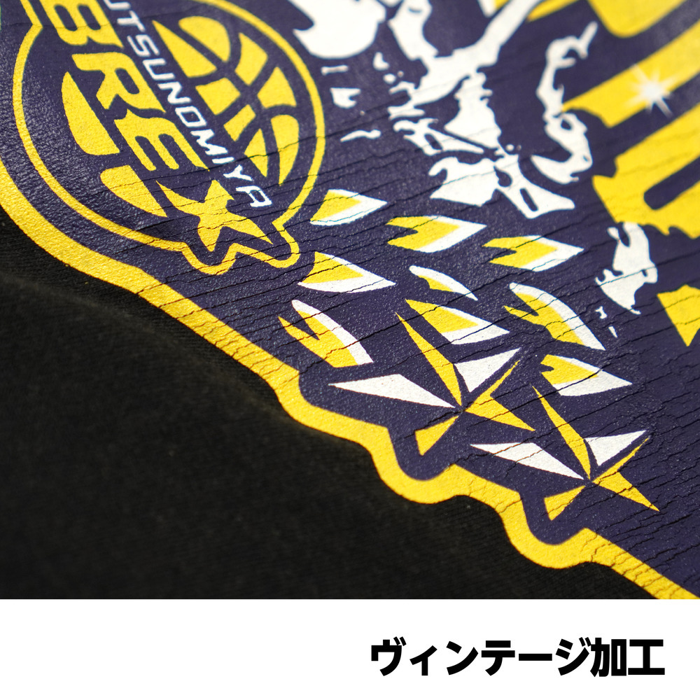 《第1次受付 6/2(月)18:00～ 6/8(日)23:59》【予約販売】BREX B.LEAGUE 2024-25 チャンピオン ヴィンテージ風 Tシャツ 詳細画像 1カラー 4